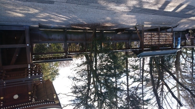 DSC_0139.JPG
