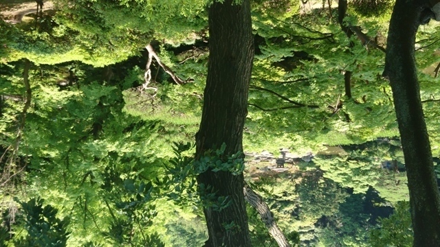 DSC_0591.JPG