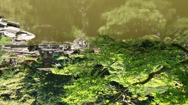 DSC_0611.JPG
