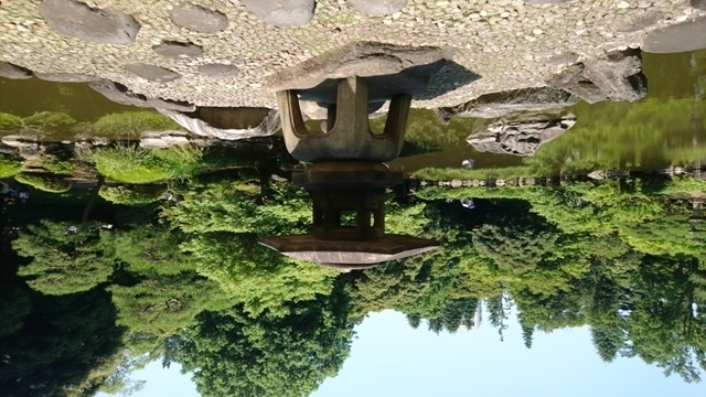 DSC_0614.JPG