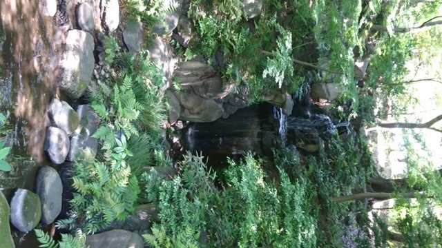 DSC_0615.JPG