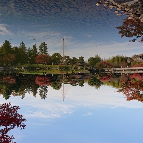 DSC_1767.JPG