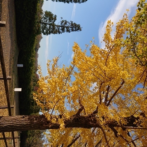DSC_1792.JPG