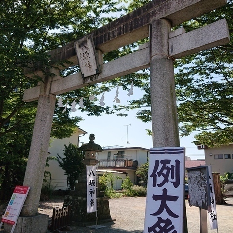 DSC_2255.JPG