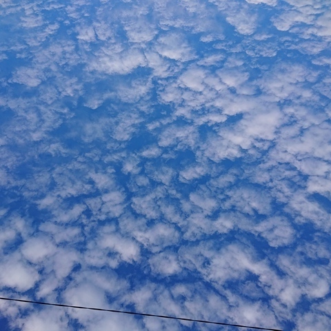 DSC_2304.JPG