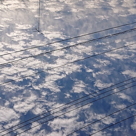DSC_2305.JPG
