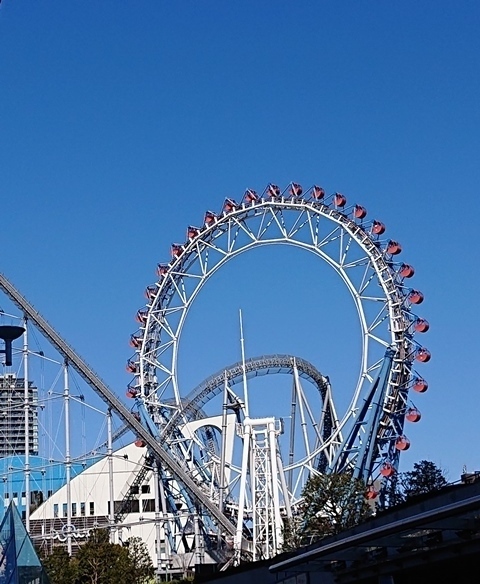 DSC_2516.JPG